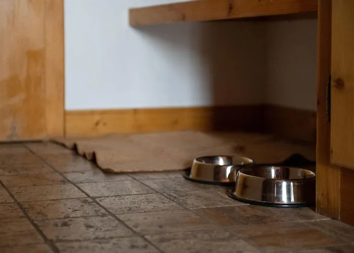 Le De Flore Hotel Verbier